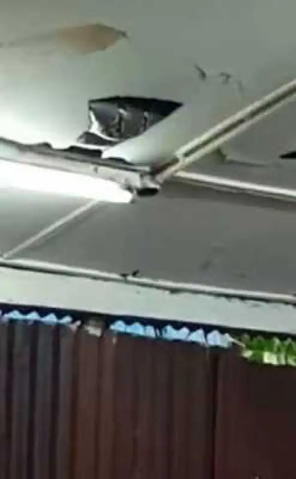 Photos: Large snake drops in on terrified diners from restaurant roof